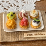 【再販】palm miniature⭐︎6種のフルーツミニタルト