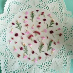 押し花素材　No88　小花のセット