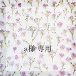 a様＊専用ページ