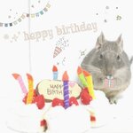 shi様お誕生日専用