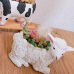 再販!!オシャカワなこひつじの寄せ植え