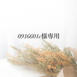 専用