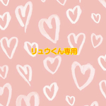 リュウくん専用オーダー品