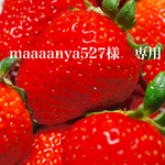 天然石ストラップ2本　