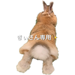 きぃさん専用✨