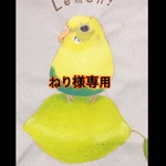 ねり様専用　トートバッグ