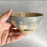ネコの1日お茶碗 昼