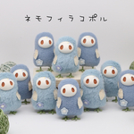 ネモフィラコポル (丸目)