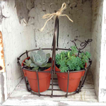 ２セット 多肉植物 ミニ鉢入りバスケット（かご） 小鳥のガーデンピック付き ワイヤークラフト