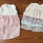 犬服！レースニットと綿麻ストライプワンピ　☆XS.S.M