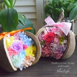 ★ご依頼品★ 母の日に届けたい感謝と幸せ ♡ 幸せの木の実 ♡ ブッダナッツ・アレンジ No.141・142　m