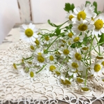 ♪ちぃ♪様専用ページ