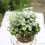 爽やかグリーンのギャザリング寄せ植え