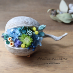 ⭐︎ブッダナッツアレンジ☆幸せを呼ぶ木の実 横向き　ブルーイエロー