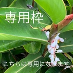 ちゃい様専用