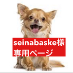専用ページ
