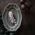 【Price Down】Bannister White hydrangea Pierce