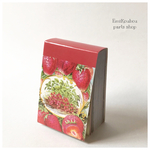 40㎜×60㎜　ミニデザインペーパー❤︎バラエティーアソートセットF（strawberry &fruits）❤︎100pcs−670
