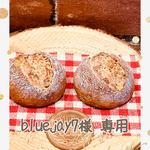 【bluejay7様 専用】オーダー品☆