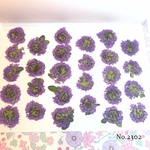 ♡new♡作家様必見♡タイムの押し花♡