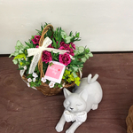 【母の日ギフト】 ❤︎ プランツ ギャザリング♡可愛いバスケット入り 寄せ植え