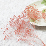 かすみ草　カスミ草　プリザーブド　クラウドピンク