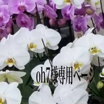oh7様専用ページ