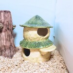 ハムスター２階建てハウス