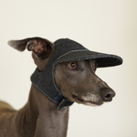 denim cap "iggy cap"