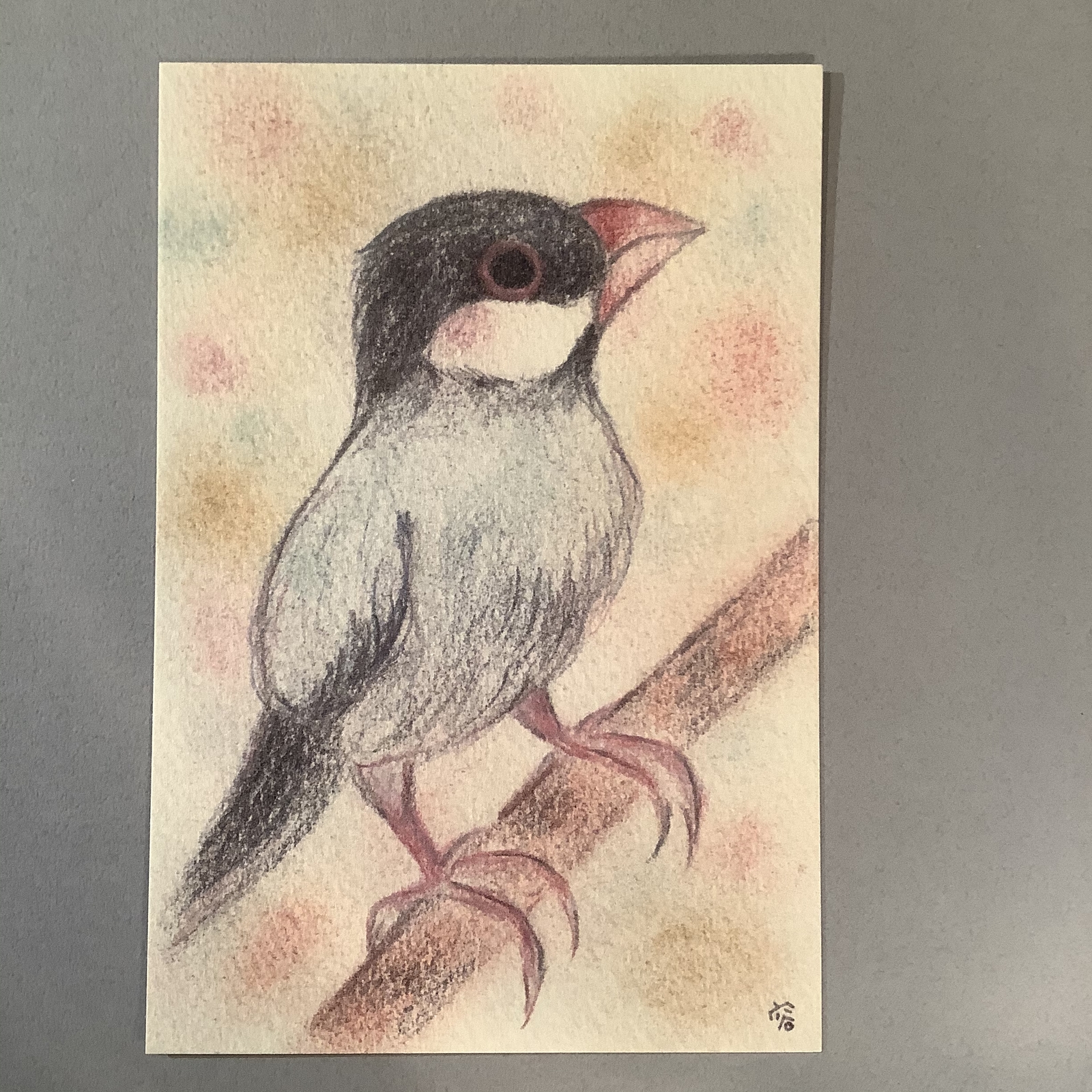 文鳥 イラストのハンドメイド 手作り通販 Minne 日本最大級のハンドメイドサイト