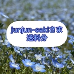 junjun-sakiさま 送料分