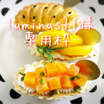 luminus11様専用枠