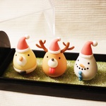 【限定５個】ころりんクリスマスセット☆【送料無料】