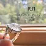 ホワイトガーデンクォーツ×純銀デザインリング