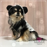 小型犬用🐕思わずニッコリ♡パンダなりきりタンクトップ🐼💕