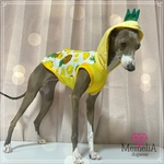 イタグレ用🐕可愛すぎ🤣常夏パイナポーなりきりタンクトップ🍍💕