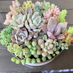 母の日に♪ 多肉植物　寄せ植え　リメイク缶
