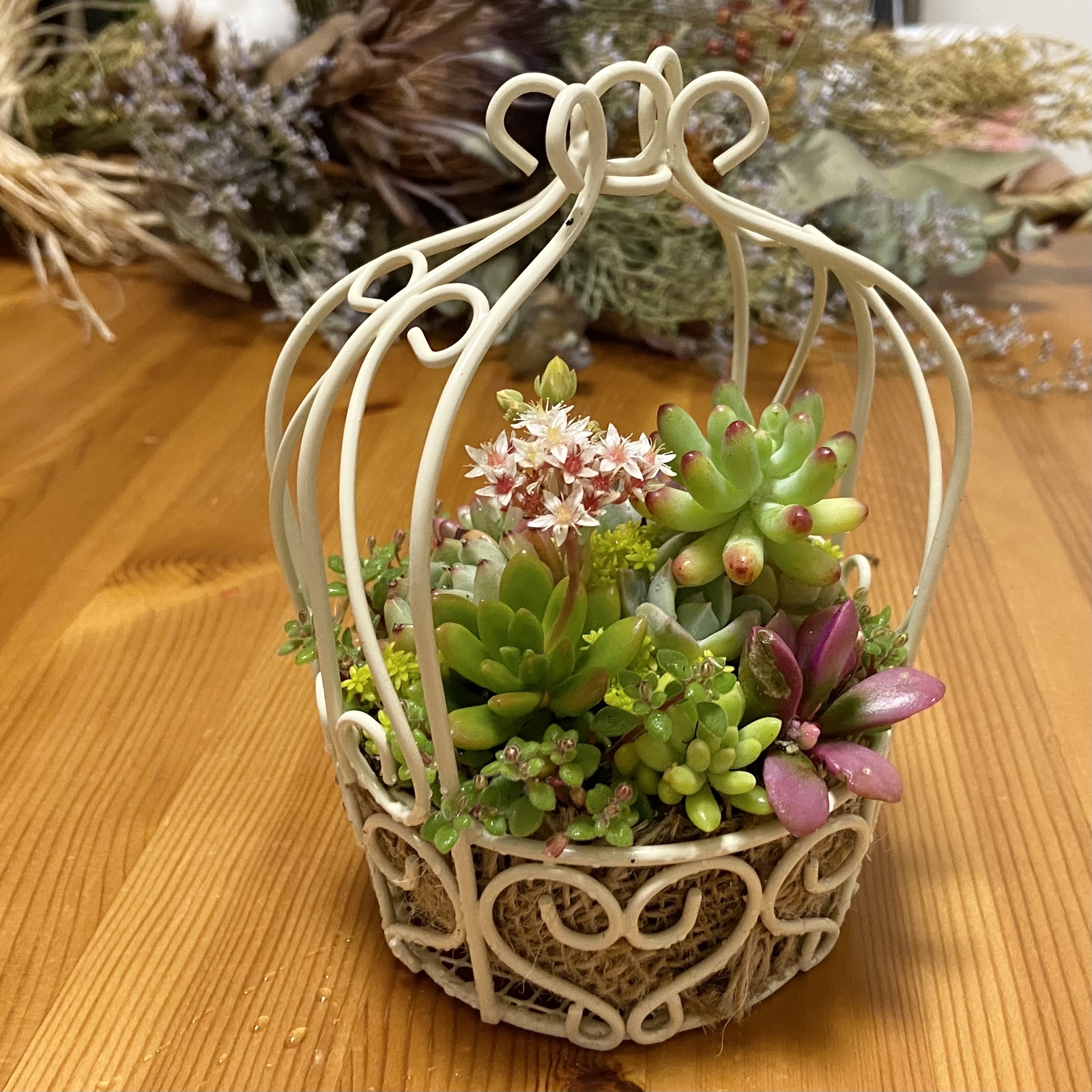 多肉植物 ♡そのまま飾れる寄せ植え♡ラタムバスケット2点セット♬*° 多肉植物 ♡そのまま飾れる寄せ植え♡バスケット2点セット♬*°