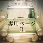 専用ページB