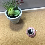 レトロボタン　ポニーフック