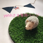 yehh様専用ページです
