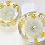 たんぽぽと菜の花のペーパーウェイト