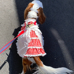 犬服ワンピース　エプロンドレス　綿レースエプロンにギンガムチェックワンピース　新作