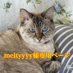 meltyyyy様専用ページ