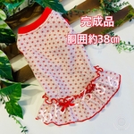 和柄☆赤☆38☆犬服☆ミニスカート☆完成品☆メッシュ☆夏服☆ハンドメイド☆あんころもち  