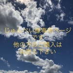 じゅんぺい様専用ページです❣️接触冷感マスク