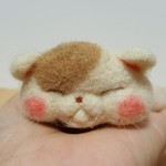 うつ伏せねんねのブサネコさん