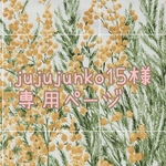 jujujunko15 様専用ページ【選べる表地18種】小鳥・小動物のおでかけ・通院・避難用キャリー バッグ （いっしょに おでかけ ウィズ キャリー Sサイズ）