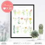 植物花アートポスター