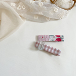 hairclip set